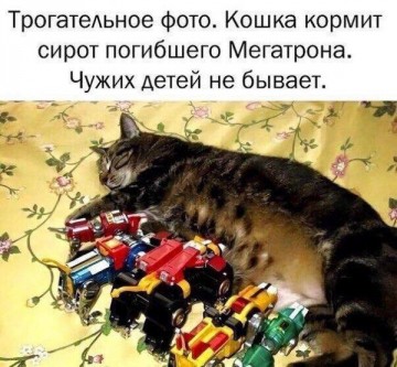 "Мыздобулы" в картинках. Смешных и не очень...15.07.2017