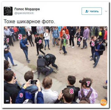 "Мыздобулы" в картинках. Смешных и не очень...15.07.2017