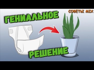 Гениальное решение: Подгузник в цветочном горшке - Возьми себе на заметку