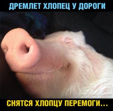 Шкиряк обещает зачистить Донбасс