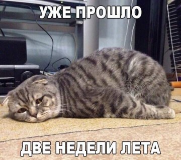 "Мыздобулы" в картинках. Смешных и не очень...17.06.2017