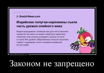 "Мыздобулы" в картинках. Смешных и не очень...17.06.2017