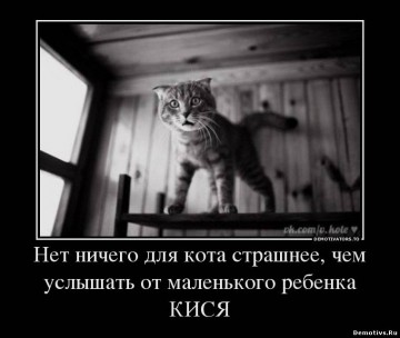 "Мыздобулы" в картинках. Смешных и не очень...17.06.2017