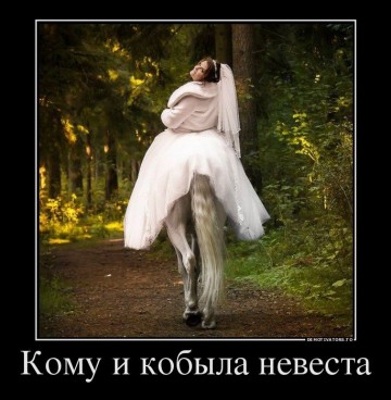 "Мыздобулы" в картинках. Смешных и не очень...17.06.2017