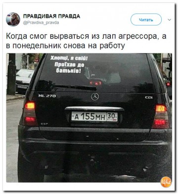 "Мыздобулы" в картинках. Смешных и не очень...19.06.2017