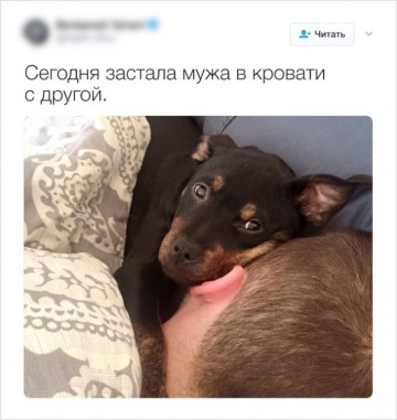 "Мыздобулы" в картинках. Смешных и не очень...19.06.2017