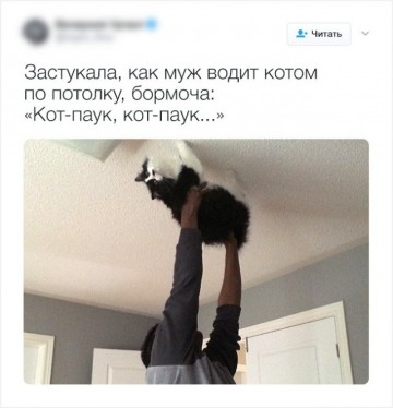 "Мыздобулы" в картинках. Смешных и не очень...19.06.2017