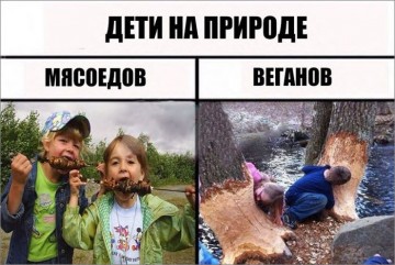 "Мыздобулы" в картинках. Смешных и не очень...19.06.2017