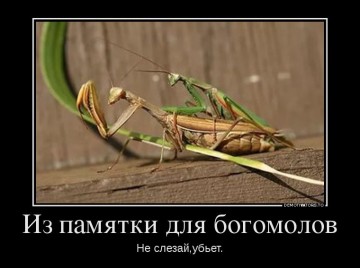 "Мыздобулы" в картинках. Смешных и не очень...19.06.2017