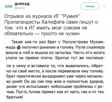 "Мыздобулы" в картинках. Смешных и не очень...19.06.2017