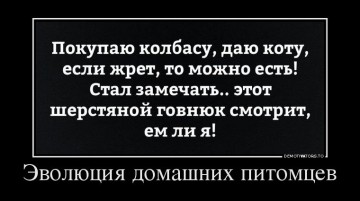"Мыздобулы" в картинках. Смешных и не очень...22.06.2017