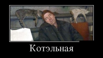 "Мыздобулы" в картинках. Смешных и не очень...22.06.2017