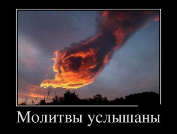 "Мыздобулы" в картинках. Смешных и не очень...22.06.2017