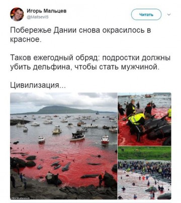 "Мыздобулы" в картинках. Смешных и не очень...22.06.2017