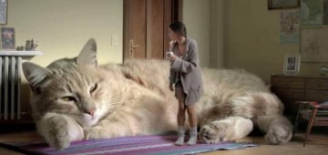 Как британец замерзает без колхоза