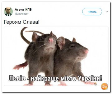 "Мыздобулы" в картинках. Смешных и не очень...22.06.2017