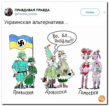 "Мыздобулы" в картинках. Смешных и не очень...22.06.2017