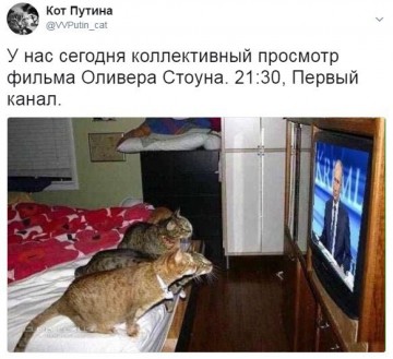 "Мыздобулы" в картинках. Смешных и не очень...22.06.2017