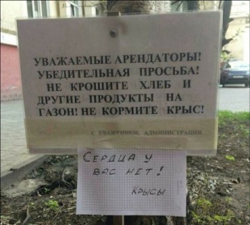 "Мыздобулы" в картинках. Смешных и не очень...26.06.2017
