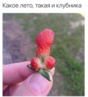 "Мыздобулы" в картинках. Смешных и не очень...26.06.2017