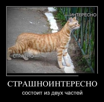 "Мыздобулы" в картинках. Смешных и не очень...26.06.2017