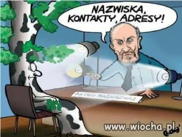"Мыздобулы" в картинках. Смешных и не очень...26.06.2017