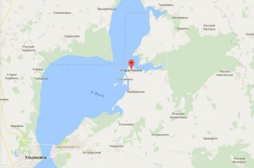Практикуется расизм под видом науки