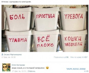 "Мыздобулы" в картинках. Смешных и не очень...30.06.2017