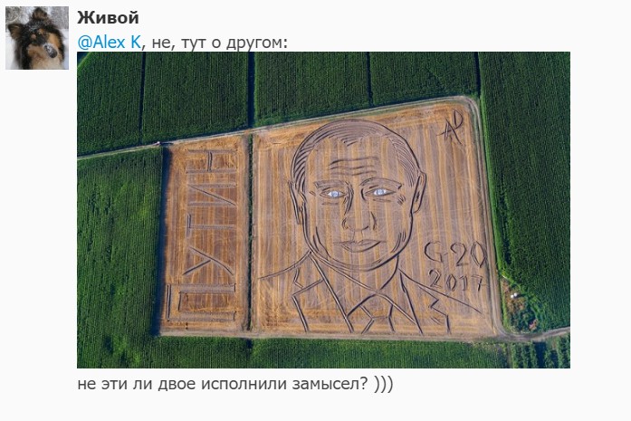 "Мыздобулы" в картинках. Смешных и не очень...05.07.2017