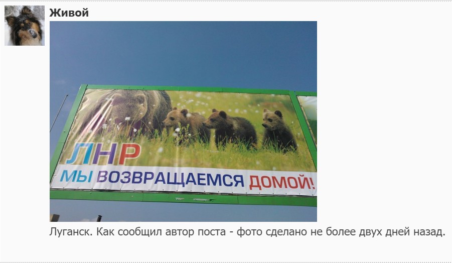 "Мыздобулы" в картинках. Смешных и не очень...05.07.2017