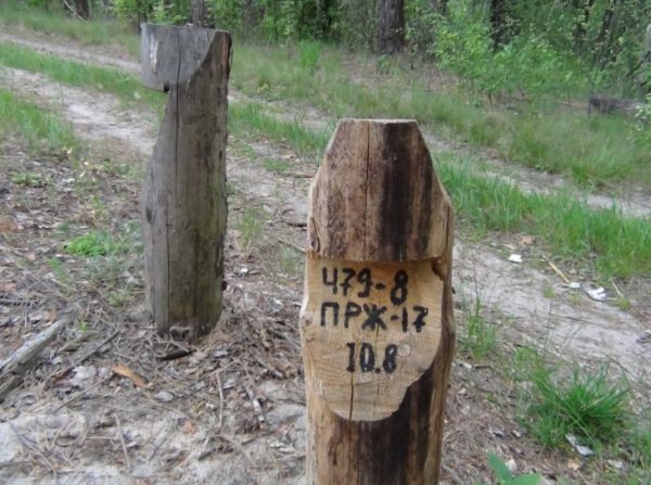 Леса рубят – реки мелеют: Украина на грани экологической катастрофы Леса рубят – реки мелеют: Украина на грани экологической катастрофы