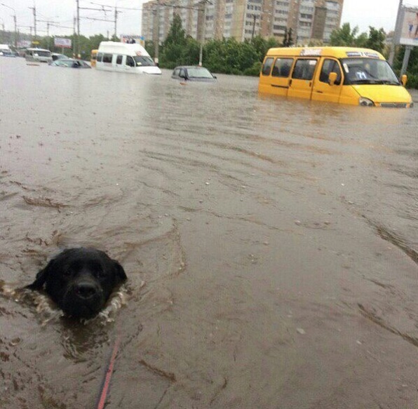 Хроника страшного ливня в Ульяновской области в фотографиях и видео жителей