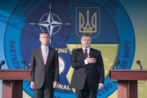 Украина и НАТО: любит – не любит Украина и НАТО: любит – не любит
