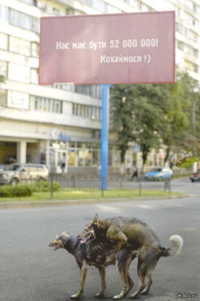 Итоги двух революций: Число граждан Украины сократилось почти на 20 млн человек