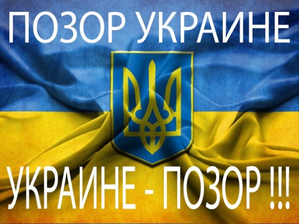 Позор по имени 404