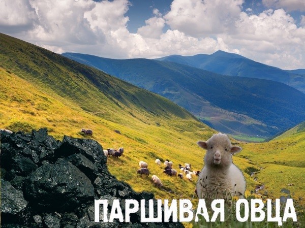 С паршивой овцы 404 - клок угля напоследок