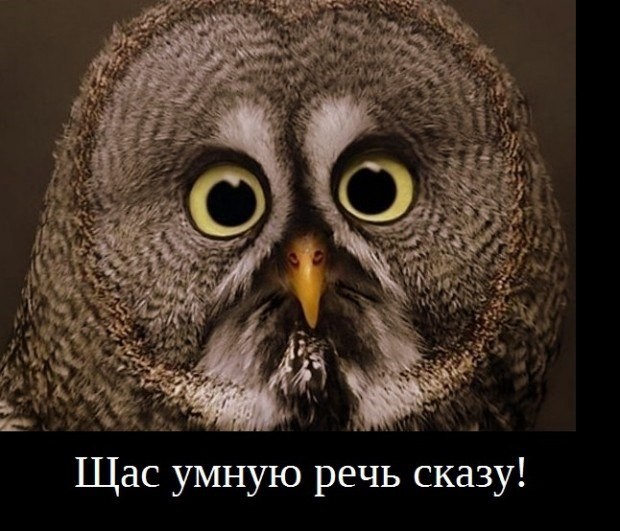 Философский юмор