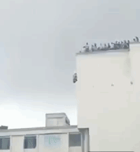 Студентка разбилась насмерть на тренировке по зиплайну, которую проводил её отец