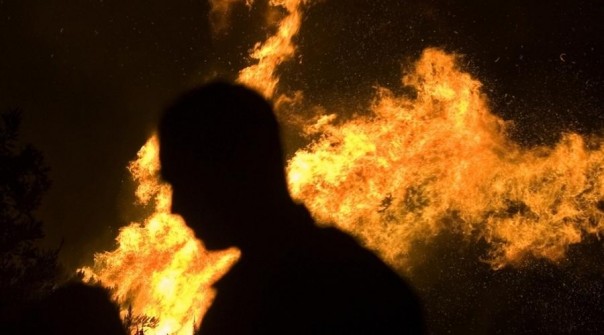 На Днепропетровщине подпалили поля птицефабрики "Наша Ряба"