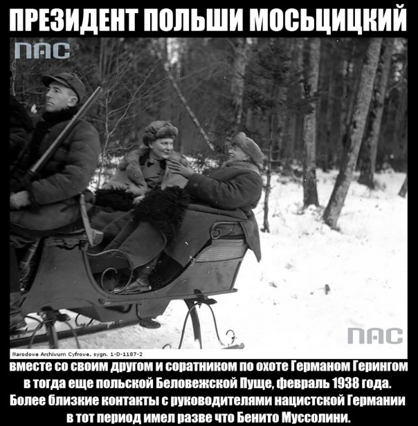 Польша - мерцающее государство. Александр Роджерс Польша - мерцающее государство. Александр Роджерс