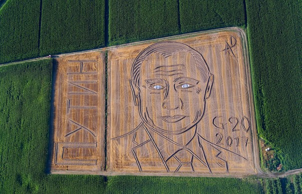 Огромный портрет Путина появился на поле в Италии