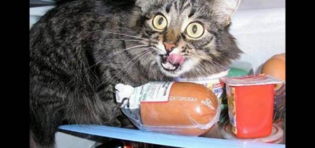 Иначе не катит