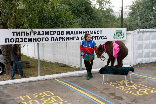 На открытии ЖК "Царицыно" зрители были возмущены обращением с медведицей