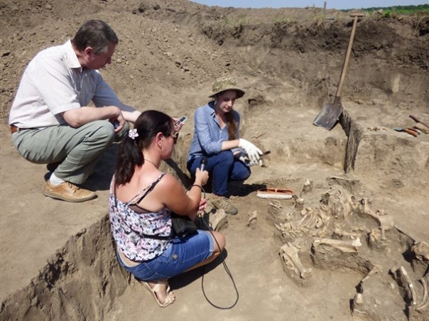 На Полтавщине археологи нашли скифское золото. Археологи Донбасса представили находки с раскопок средневекового поселения в Приазовье