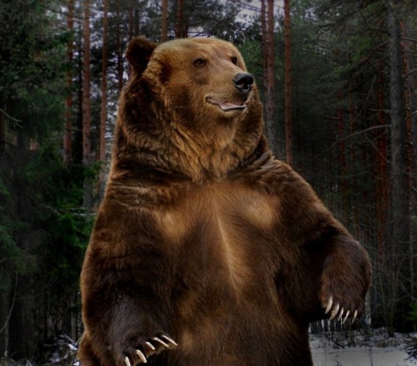 Реинкарнация: "Опубликован кремлевский план "Шатун-2" по дестабилизации в Украине"