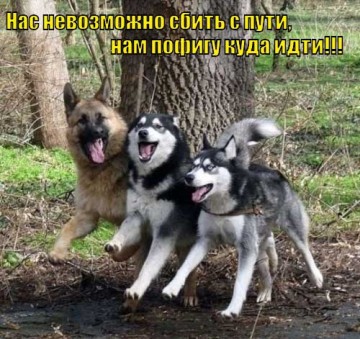 "Мыздобулы" в картинках. Смешных и не очень...03.07.2017