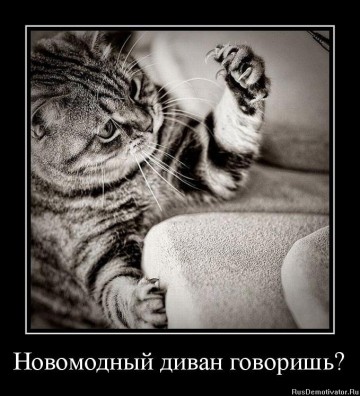 "Мыздобулы" в картинках. Смешных и не очень...03.07.2017