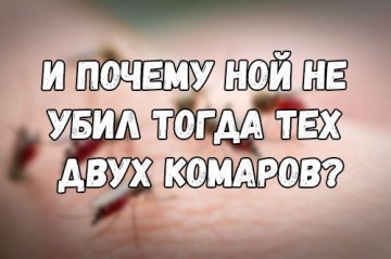 "Мыздобулы" в картинках. Смешных и не очень...03.07.2017