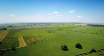 Концерн «Покровский» пытается сменить власть на Кубани?