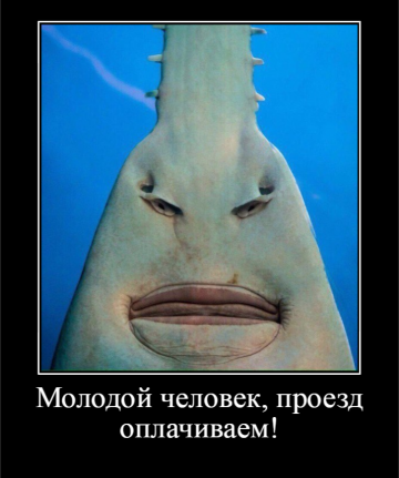 "Мыздобулы" в картинках. Смешных и не очень...10.07.2017